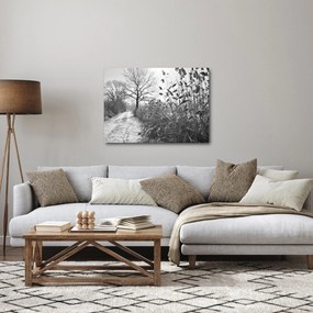 Obraz - Pola w zimie (70x50 cm)