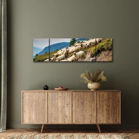 Obraz - Stado owiec (170x50 cm)