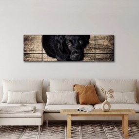 Obraz czarnego szczeniaka (170x50 cm)