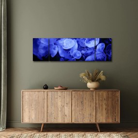Obraz - Meduzy (170x50 cm)