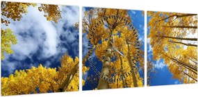 Obraz - Aspen (z zegarem) (90x30 cm)