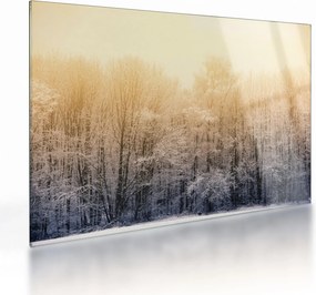 Obraz na szkle mroźnego lasu (70x50 cm)