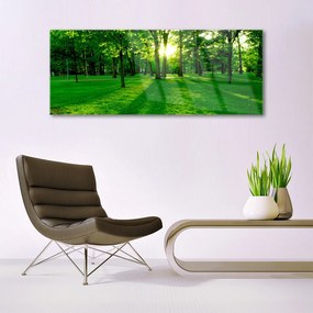 Obraz Akrylowy Las Park Natura