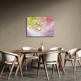 Obraz - Kropelki (70x50 cm)