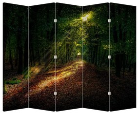 Parawan - Ścieżka leśna (210x170 cm)