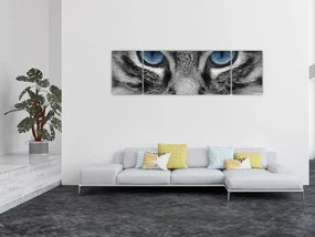 Obraz kota (170x50 cm)