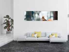 Obraz - Wiewiórka (170x50 cm)