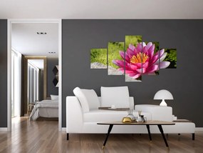 Obraz - Lilia wodna (125x70 cm)