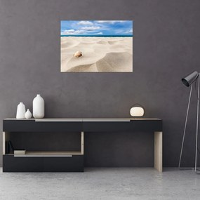 Obraz - Muszle na plaży (70x50 cm)