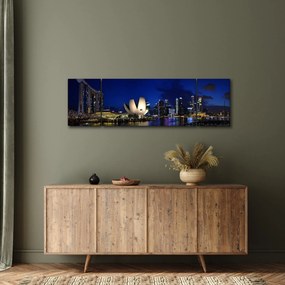 Obraz Singapuru nocą (170x50 cm)