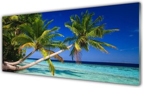 Szkło nad Blatem Tropikalny Brzeg Z Palmą