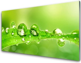 Panel Szklany Perlista Rosa Na Zielonym Liściu