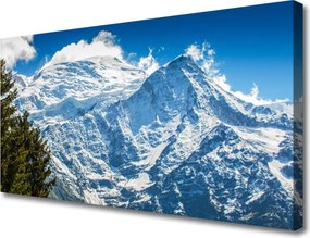 Obraz canvas na ścianę Górski Pejzaż z Drzewami