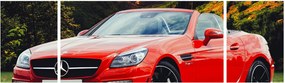 Obraz - czerwony Mercedes (170x50 cm)