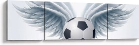 Obraz - Balon ze skrzydłami (170x50 cm)