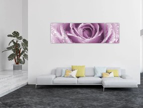 Obraz szczegółu kwiatu róży (170x50 cm)