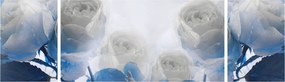 Obraz - Białe róże (170x50 cm)