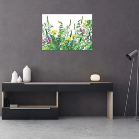 Obraz na szkle - Malowane kwiaty łąkowe (70x50 cm)
