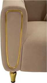 Szarobrązowy aksamitny fotel Alma – Mauro Ferretti