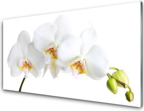 Panel Szklany Pastelowy Bukiet Botaniczny