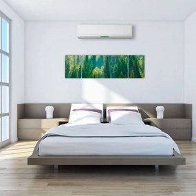 Obraz - Las sosnowy (170x50 cm)