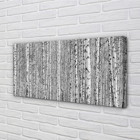 Obraz na płótnie Czarno-Biały Las