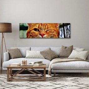 Obraz mrugającego kota (170x50 cm)