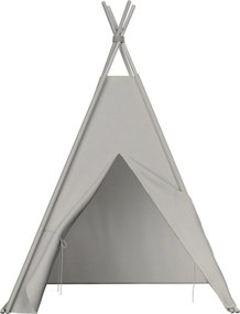 Tipi kolor szary