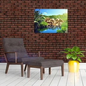 Obraz na szkle - jezioro w dżungli Seszeli (70x50 cm)