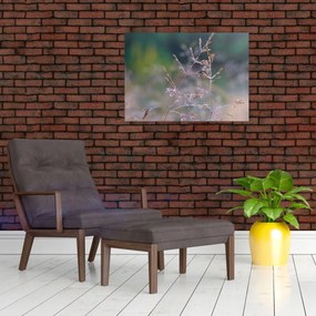 Obraz - Szczegół trawy (70x50 cm)