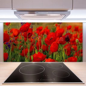 Szkło do Kuchni na Ścianę Maki w Letnim Słońcu