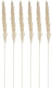 Ozdobne źdźbło z trawy pampasowej, 6 szt., 65 cm