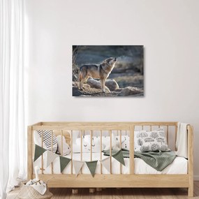 Obraz na szkle - Wyjący Wilk (70x50 cm)