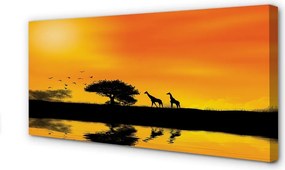 Zdjęcie na płótnie Żyrafy nad Jeziorem o Zachodzie