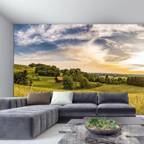Fototapeta - Łąka (196x136 cm)