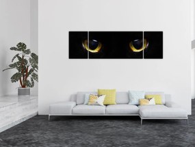 Obraz - Kocie oczy (170x50 cm)