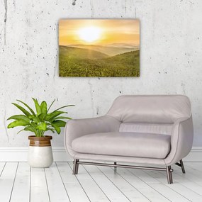 Obraz panoramiczny (70x50 cm)