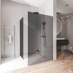 Ścianka prysznicowa Walk-In EX102