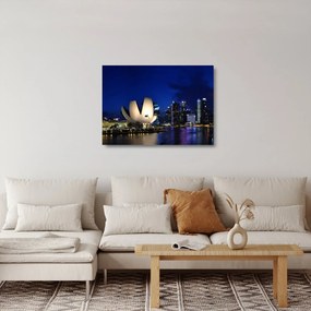 Obraz na szkle - Singapur nocą (70x50 cm)