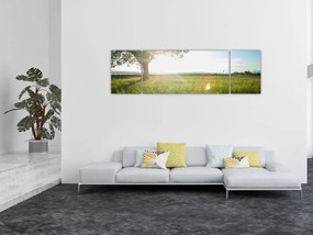 Obraz letniej łąki (170x50 cm)