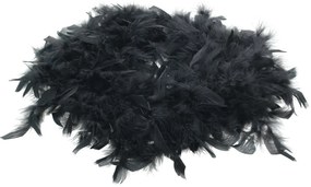 Wieniec Feathers ⌀40cm black