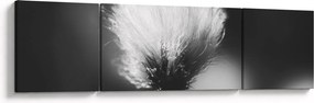 Obraz - Czarno-biała trawa bawełniana (170x50 cm)
