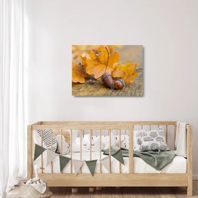 Obraz na szkle - Jesienne żołędzie (70x50 cm)