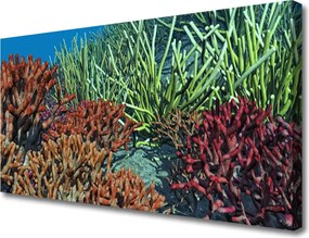 Obraz canvas Podwodne Życie Rafy