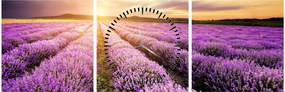 Obraz - Wschód słońca na polu lawendy (z zegarem) (90x30 cm)