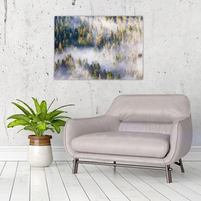 Obraz drzew we mgle (70x50 cm)