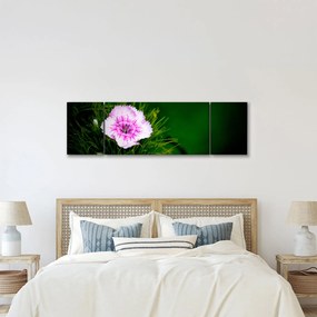 Obraz kwiatu róży (170x50 cm)