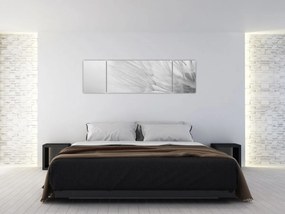 Obraz - Mniszek lekarski (170x50 cm)