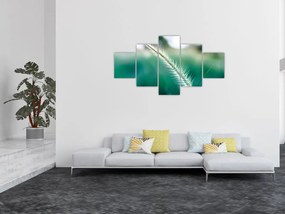 Obraz źdźbła trawy (125x70 cm)