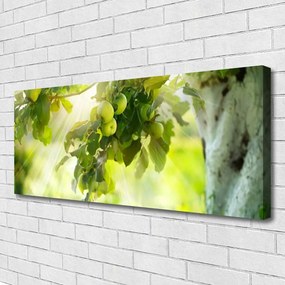 Obraz canvas Dojrzałe Jabłka na Gałęzi